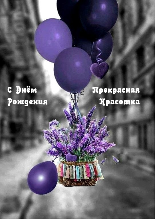 � ���� �������� ���������� ��������