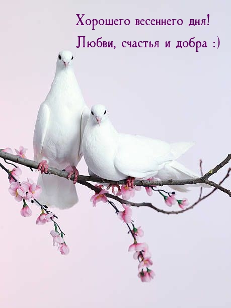 �������� ��������� ���! �����, ������� � ����� :)