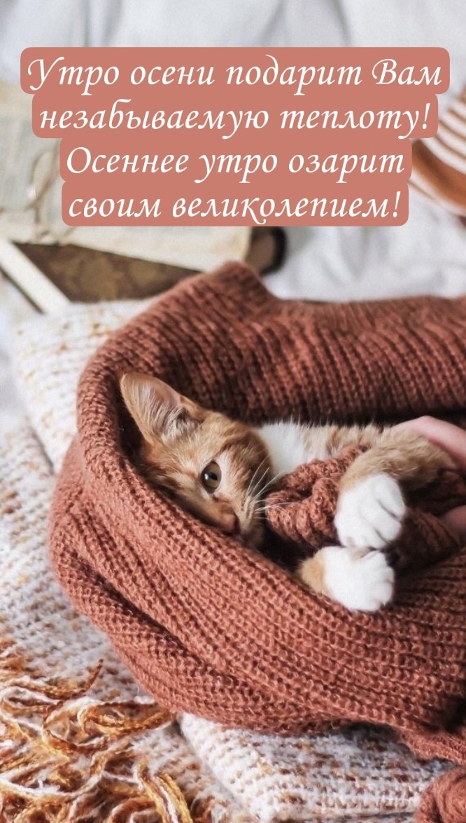 ������� ���� ������ ����� ������������!