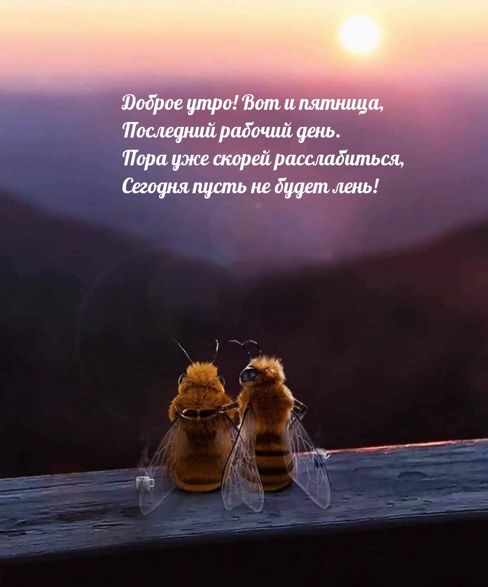 ������ ����! ��� � �������, ��������� ������� ����.