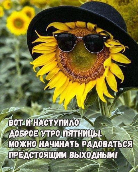 ��� � ��������� ������ ���� �������. ����� �������� ���������� 