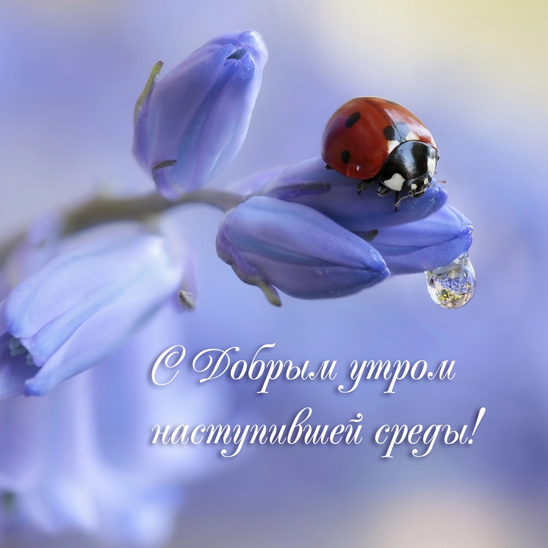 � ������ ����� ����������� �����!