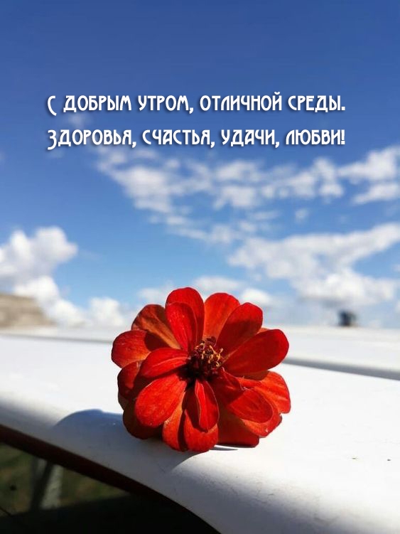 � ������ �����, �������� �����. ��������, �������, �����, �����!