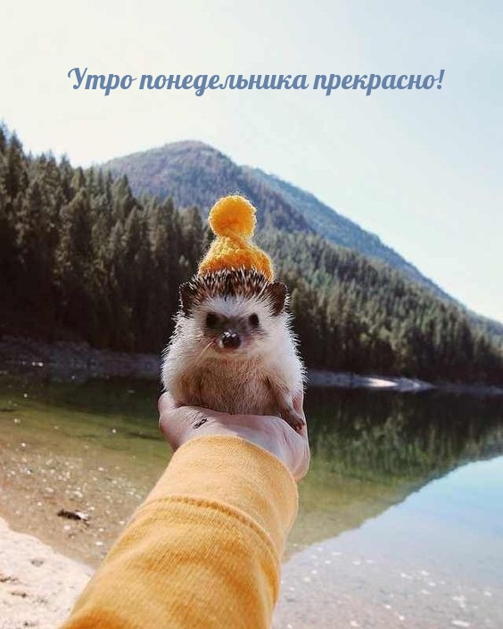 ���� ������������ ���������!