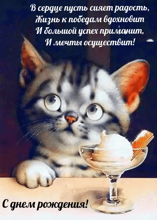 � ���� ��������! � ������ ����� ����� �������