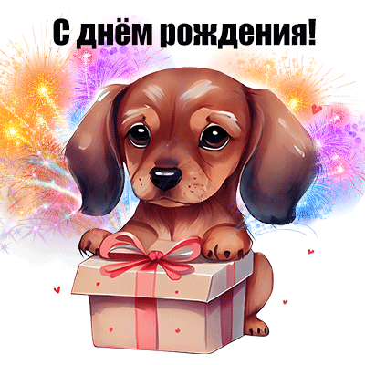 � ���� ��������!