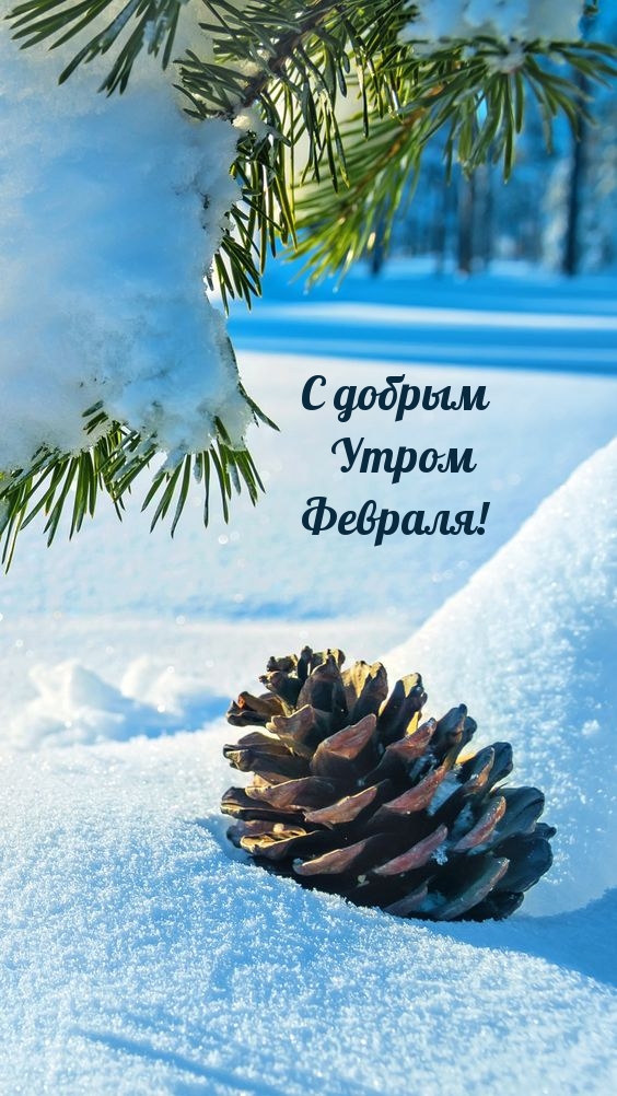 � ������ ����� �������!