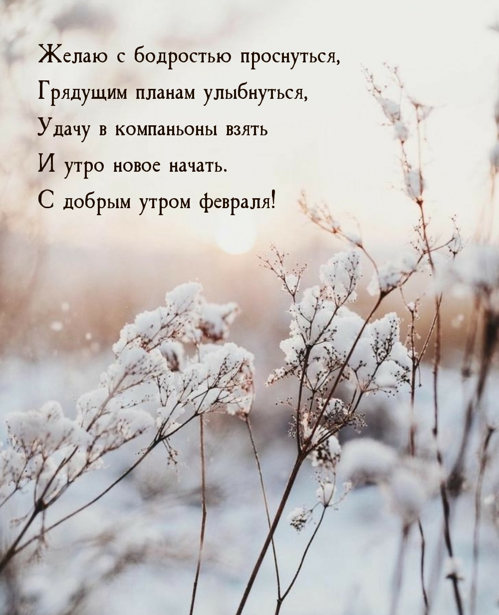 � ������ ����� �������! ����� � ��������� ����������