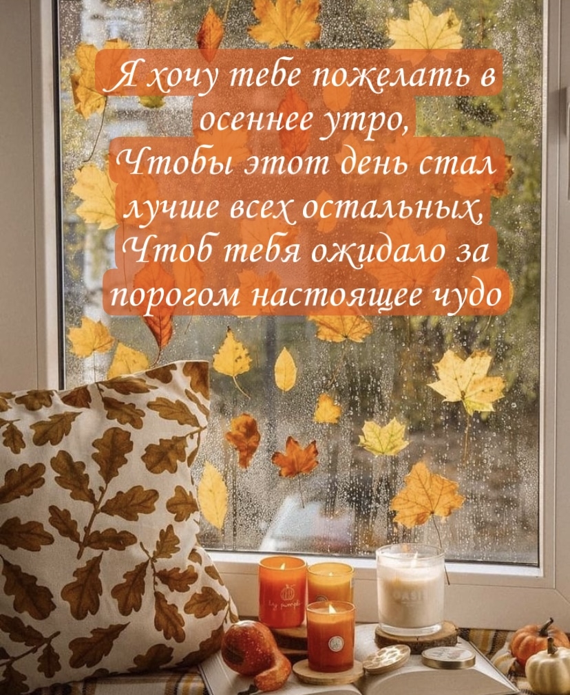 � ���� ���� �������� � ������� ����, x���� ���� ���� ���� ����� ����