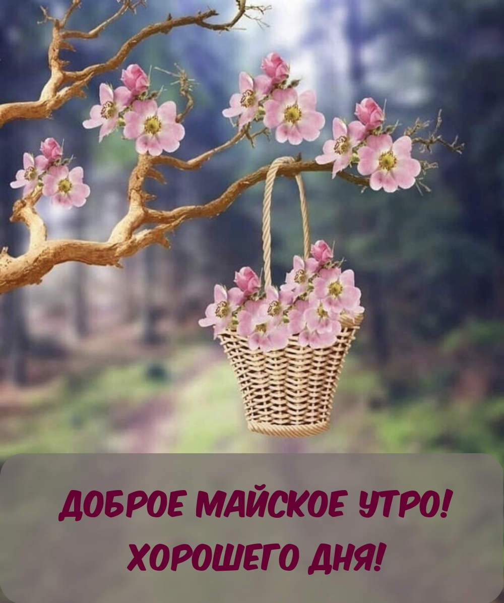 ������ ������� ����! �������� ���!