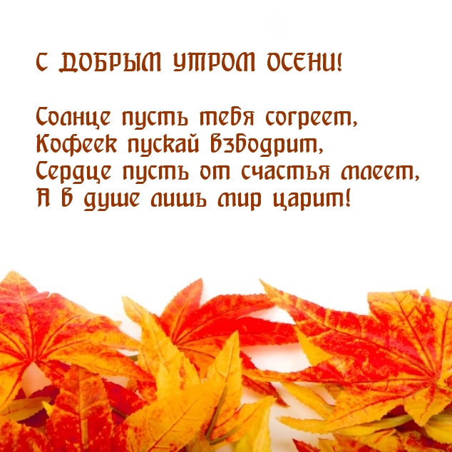 � ������ ����� �����! ������ ����� ���� �������