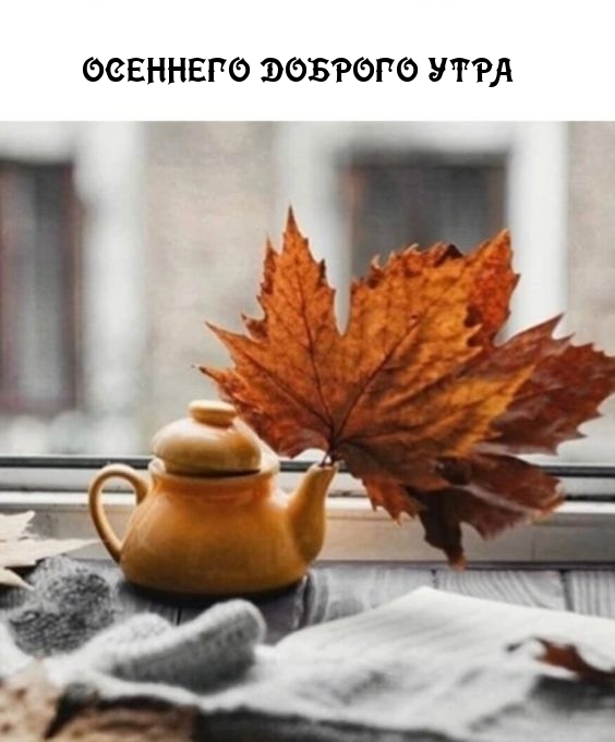 �������� ������� ����