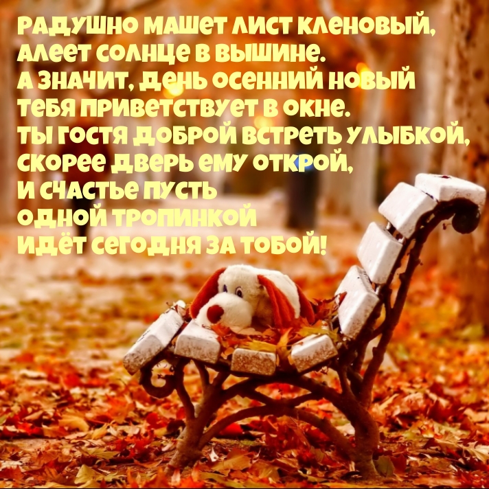 ������� ����� ���� ��������, ����� ������ � ������.