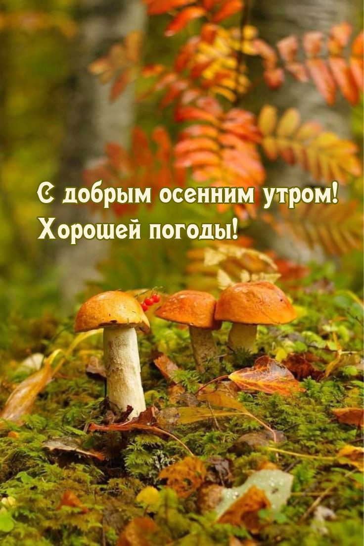 � ������ ������� �����! ������� ������!