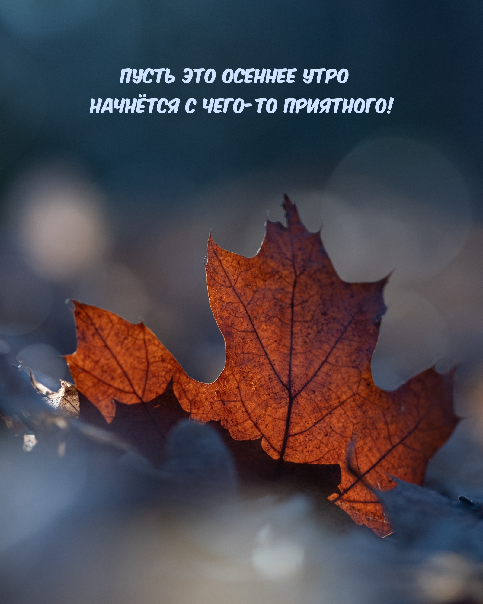 ����� ��� ������� ���� �������� � ����-�� ���������!