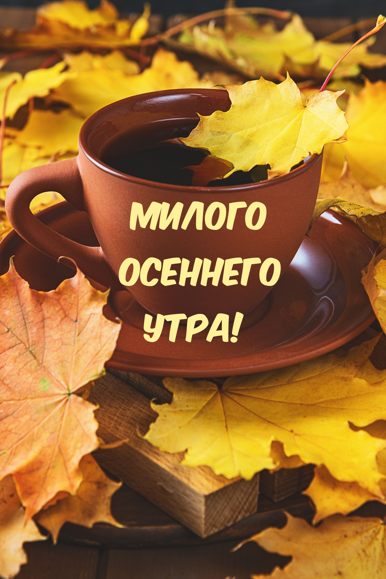 ������ �������� ����!