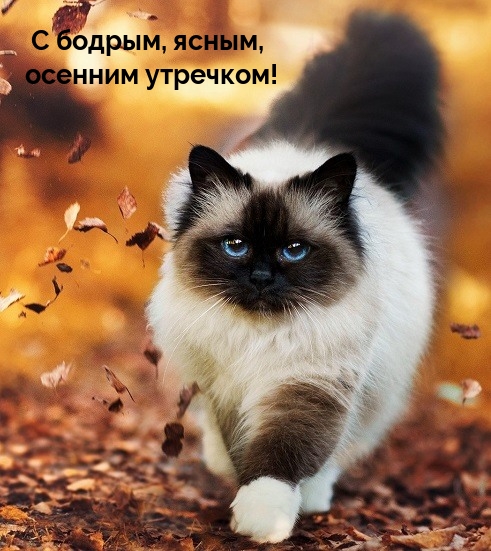 � ������, �����, ������� ��������!