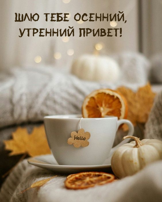 ��� ���� �������, �������� ������!