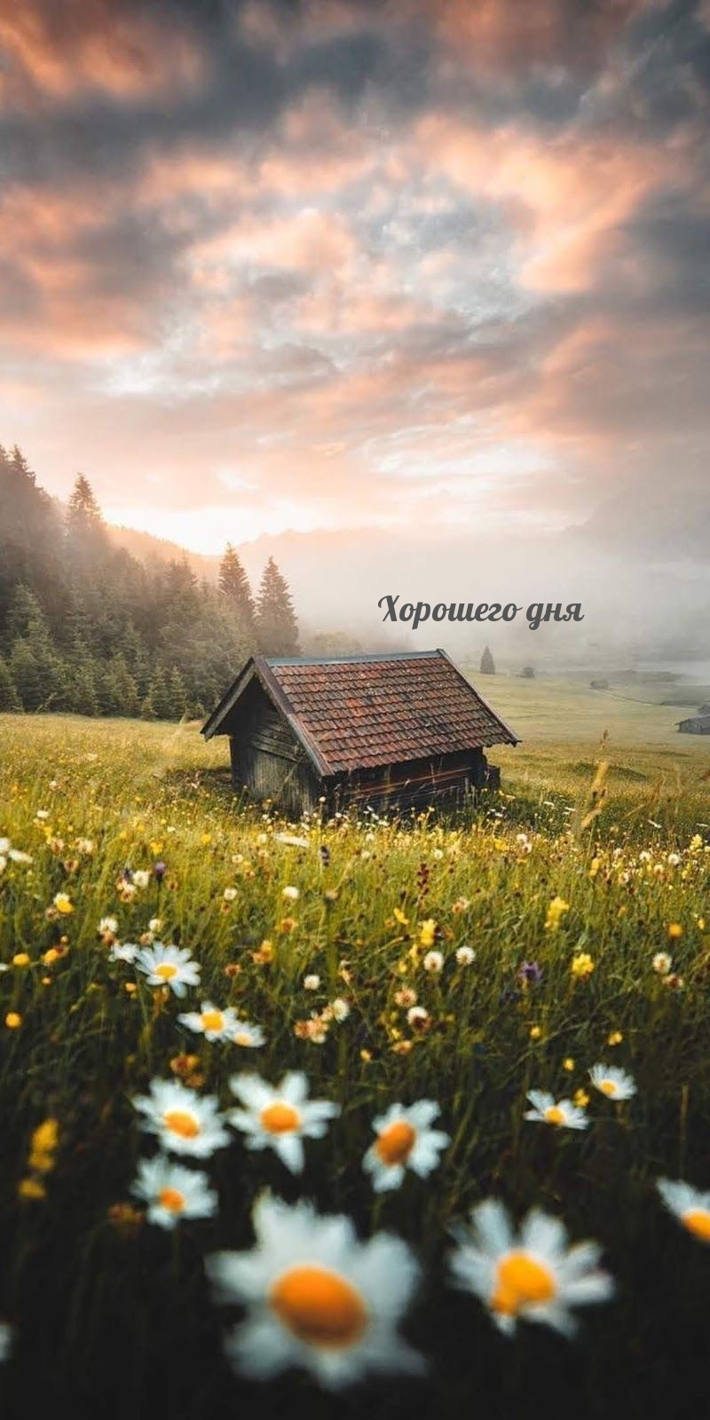 �������� ���