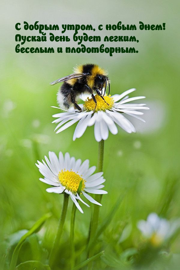 � ������ �����, � ����� ����! ������ ���� ����� ������