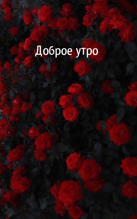 ������ ����