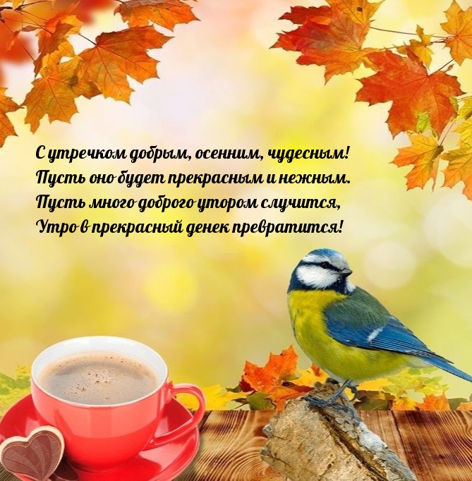 � �������� ������, �������, ��������! ����� ��� ����� ����������