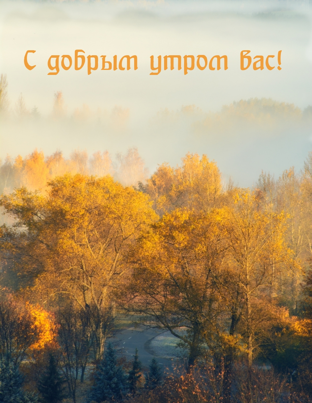 � ������ ����� ���!