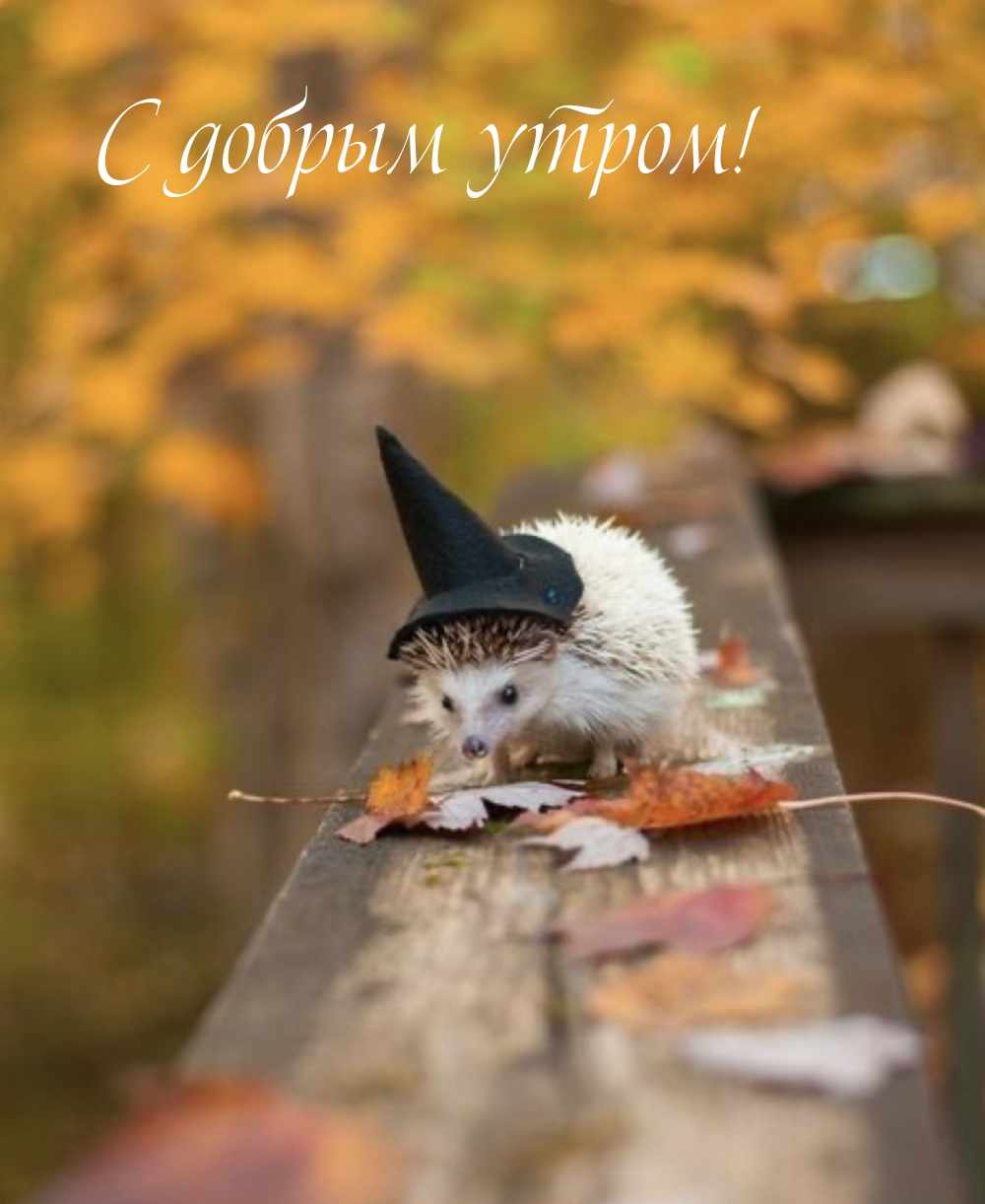 � ������ �����!