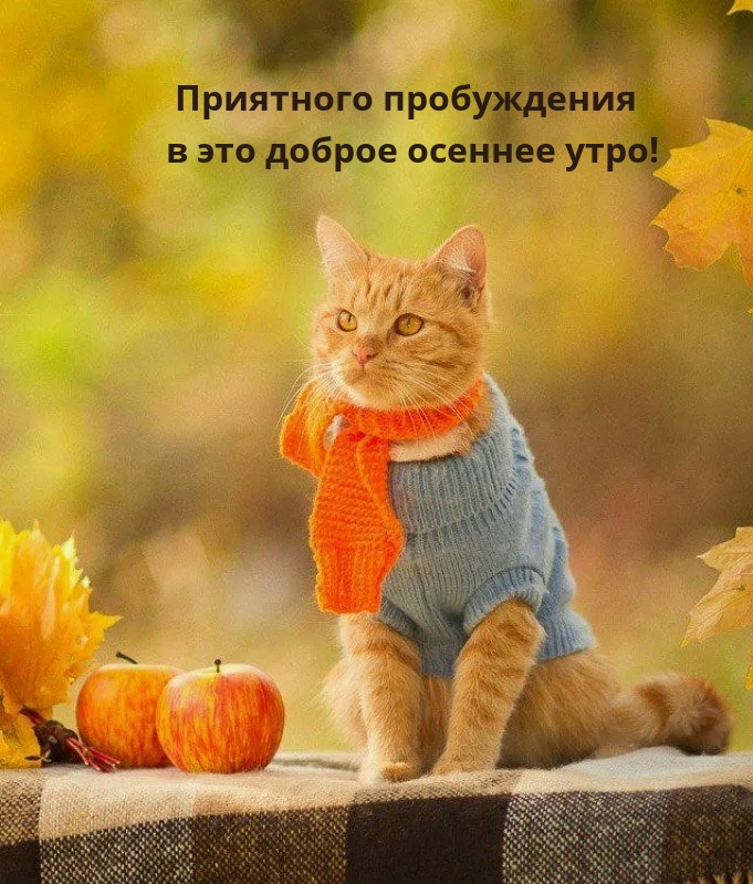 ��������� ����������� � ��� ������ ������� ����!