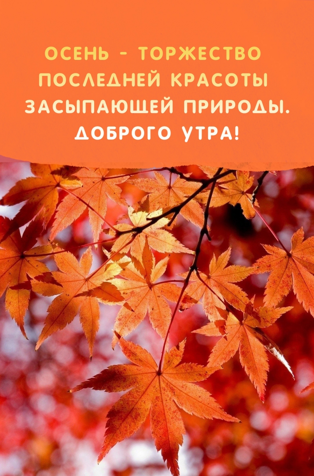 ����� - ��������� ��������� ������� ���������� �������. 