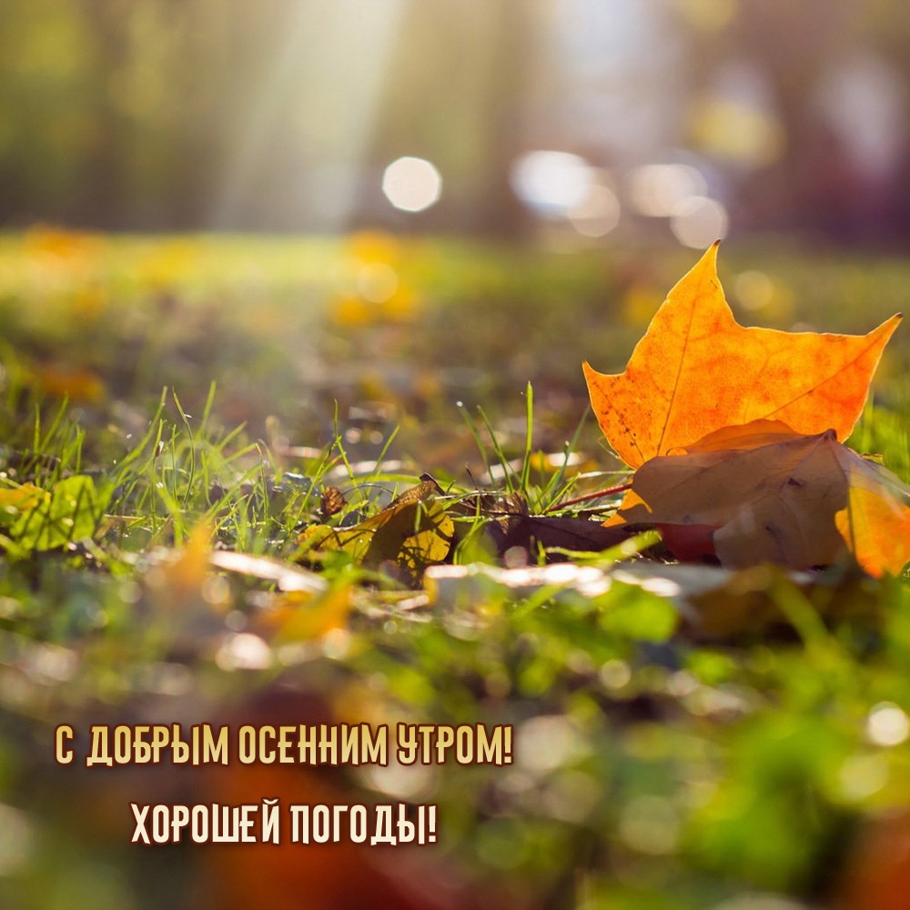 � ������ ������� �����! ������� ������!