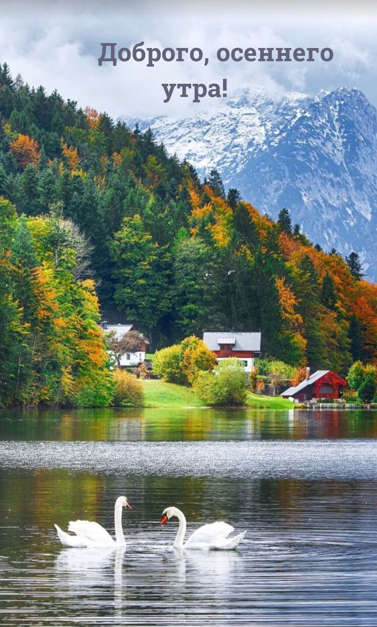�������, �������� ����!