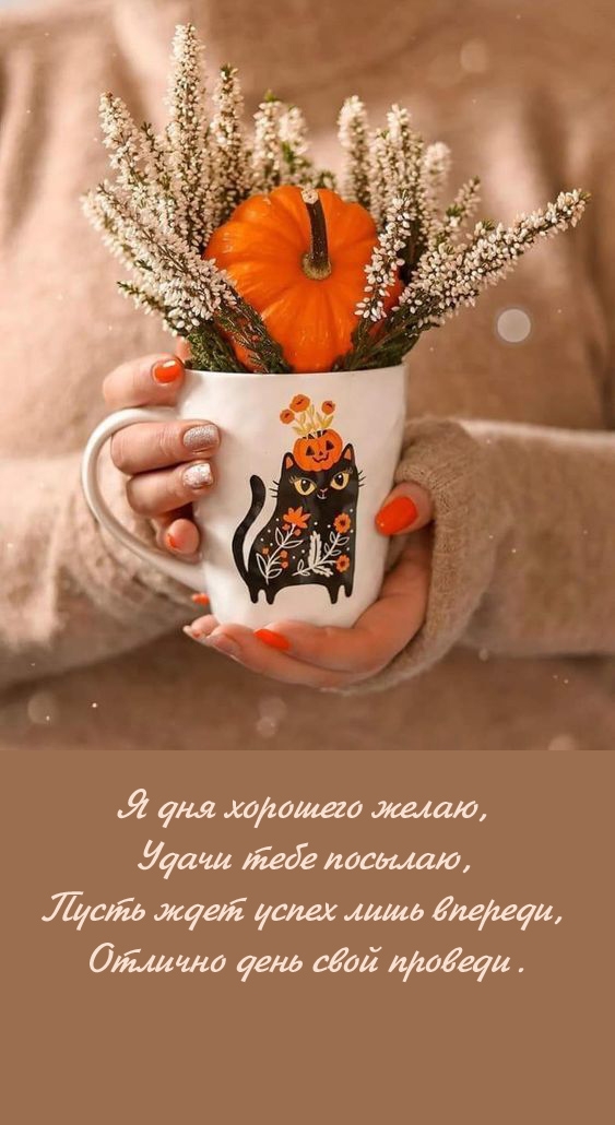 � ��� �������� �����, ����� ���� �������