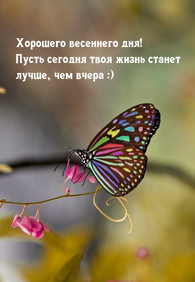 ����� ������� ���� ����� ������  �����, ��� ����� :) 