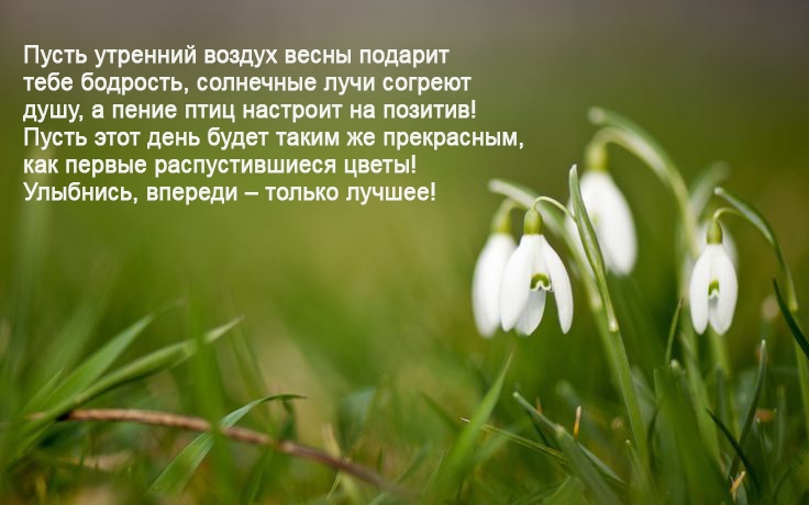 ����� �������� ������ ����� ������� ���� ��������