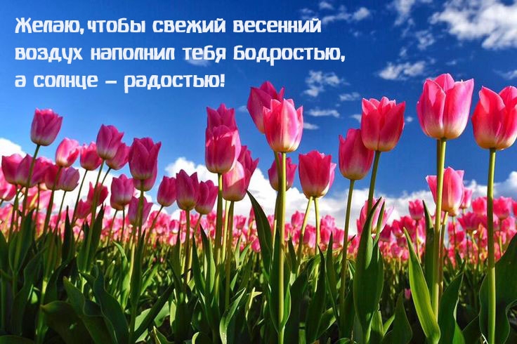 �����, ����� ������ �������� ������ �������� ���� ���������