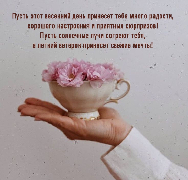 ����� ���� ���� �������� ���� ����� �������