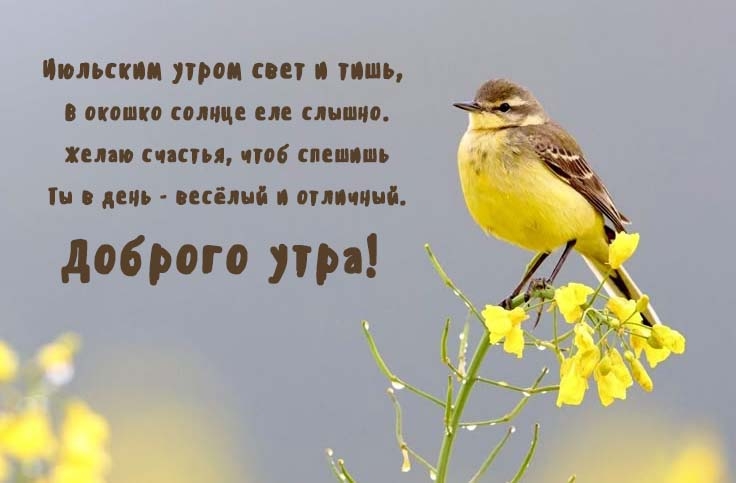 ������� ����! �������� ����� ���� � ����