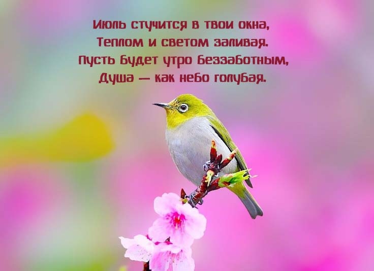 ���� �������� � ���� ����, ������ � ������ �������.