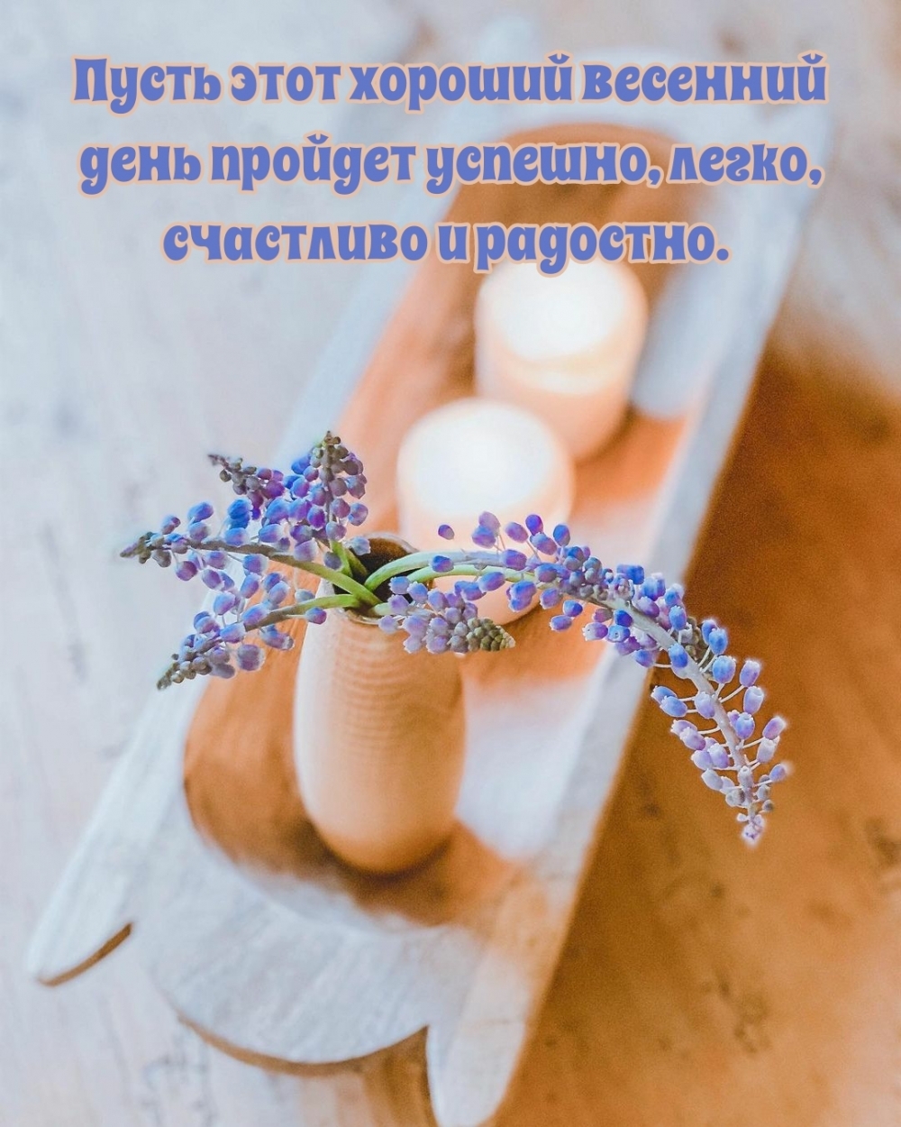 ����� ���� ������� �������� ���� ������� �������