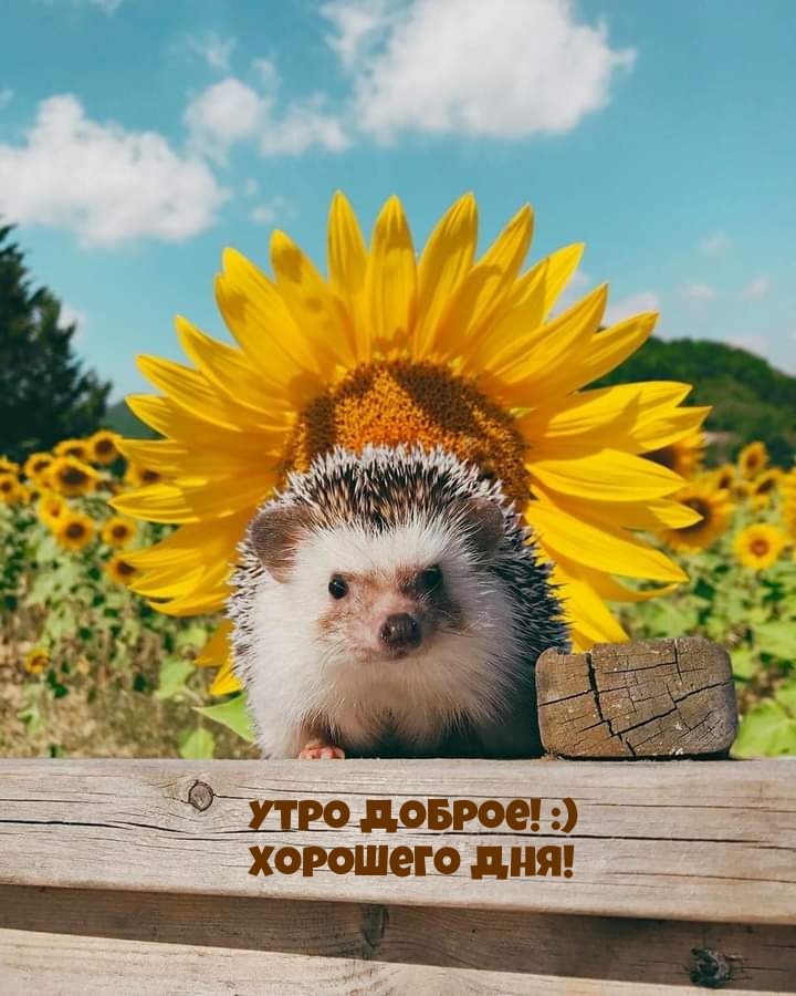 ���� ������! :) �������� ���!
