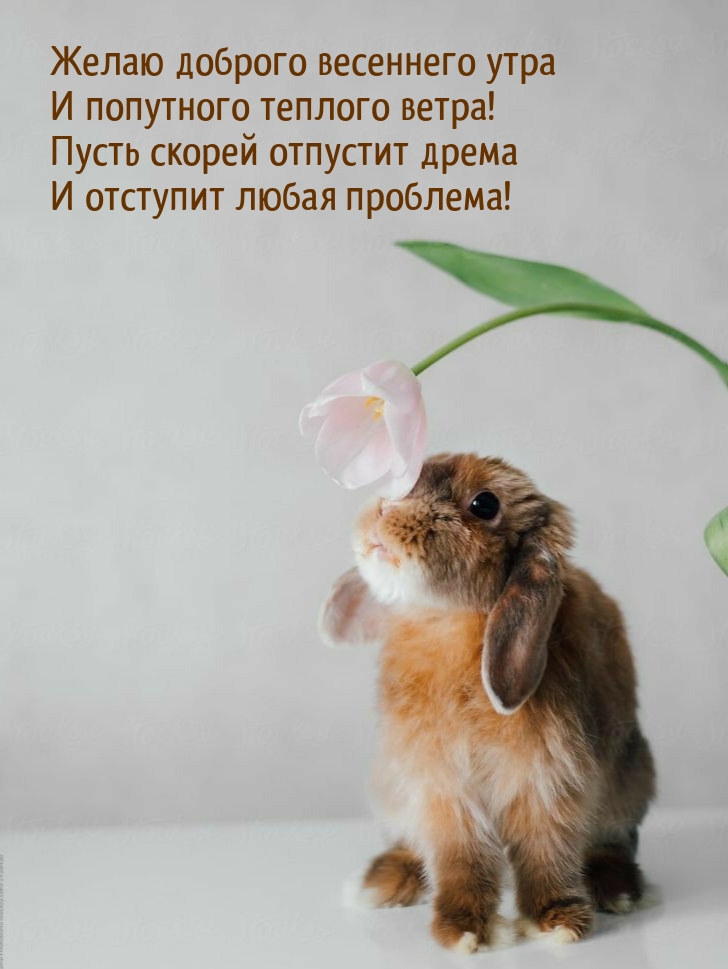 ����� ������ �������� ����� � �������� ����� ��������! 