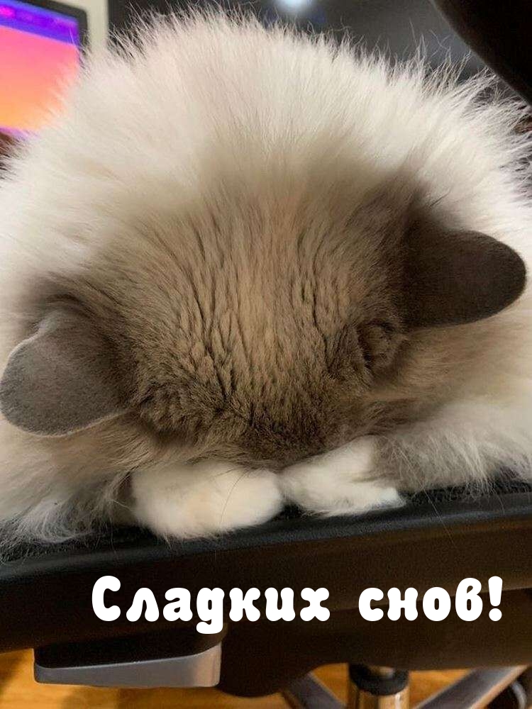 ������� ����!