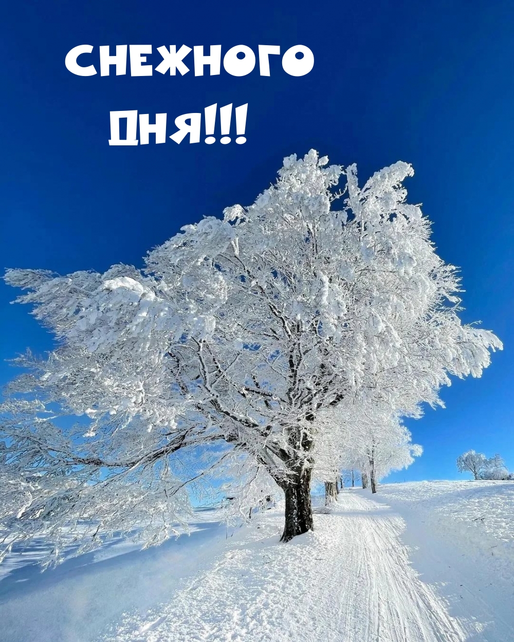 �������� ���!