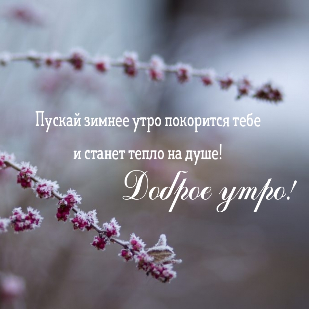 ������ ����! ������ ������ ���� ��������� ���� 