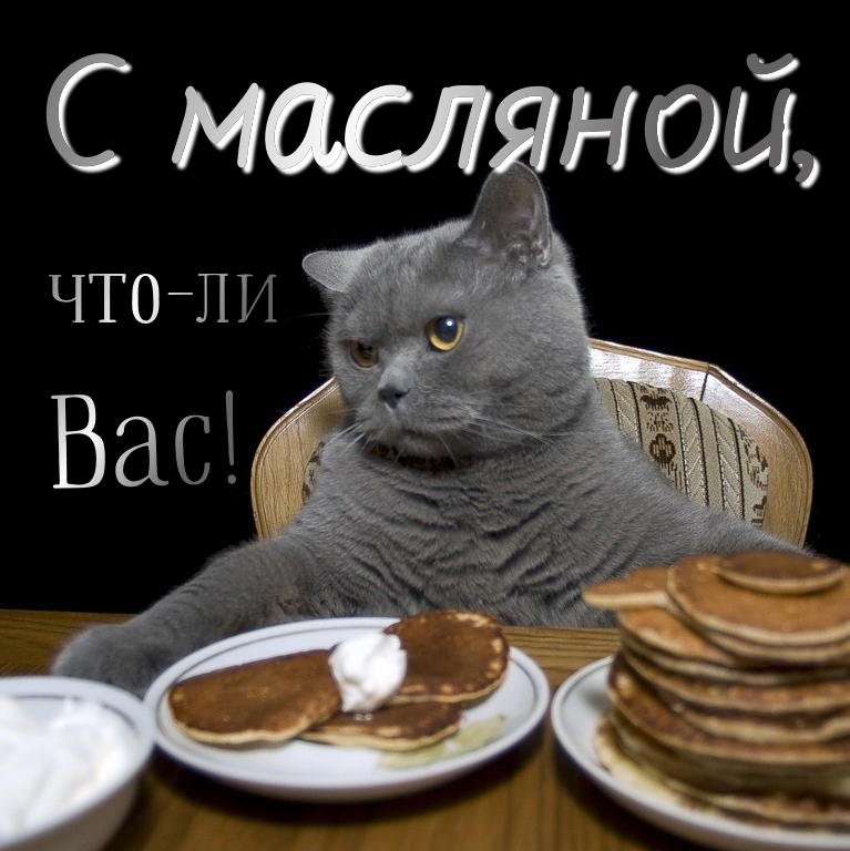 � �������� , ���-�� ���!