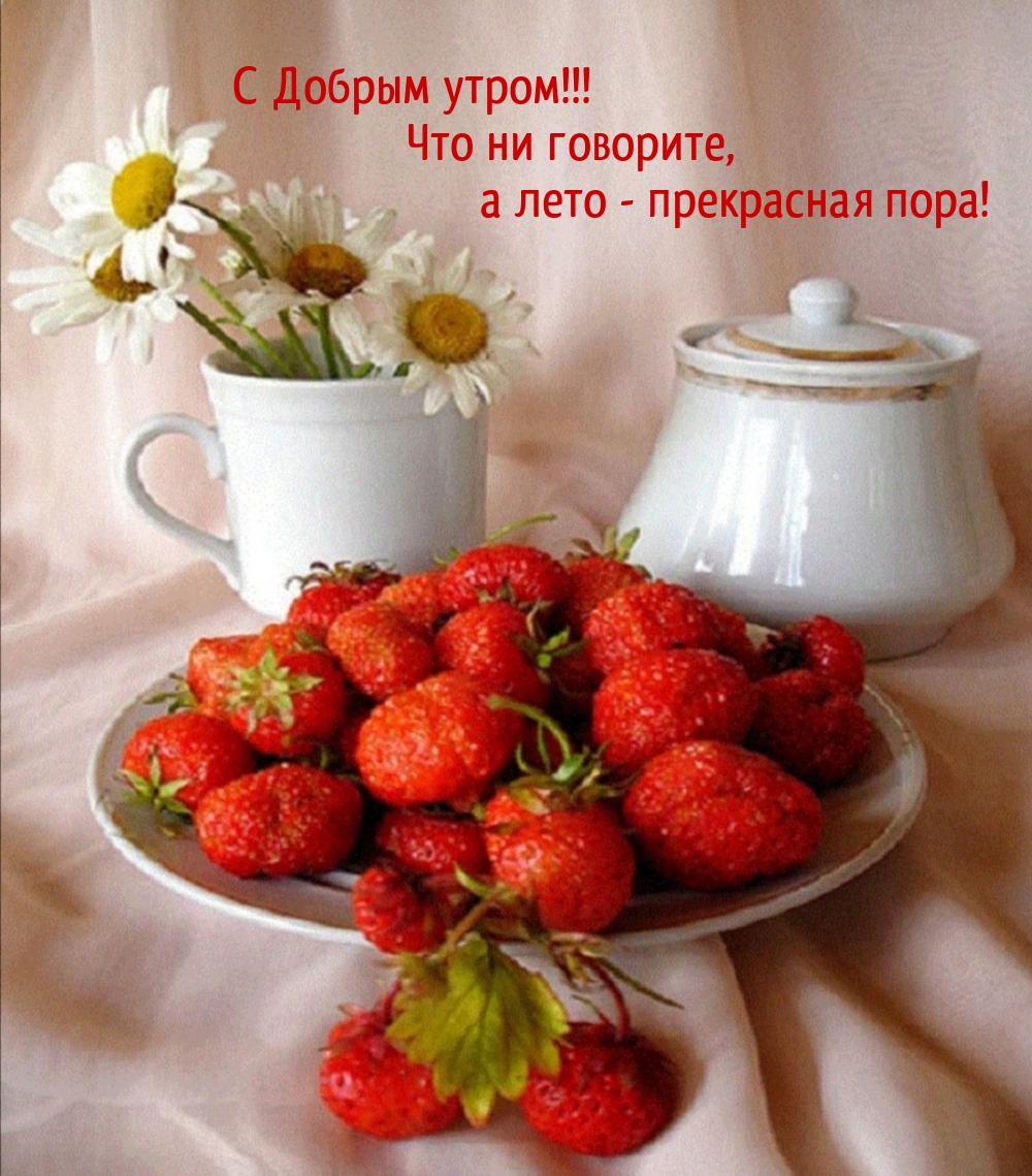 � ������ �����! ��� �� ��������, � ���� - ���������� ����!