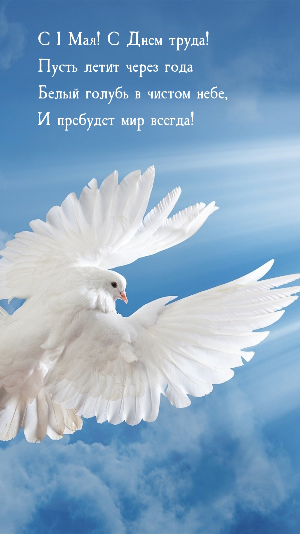 � 1 ���! � ���� �����!