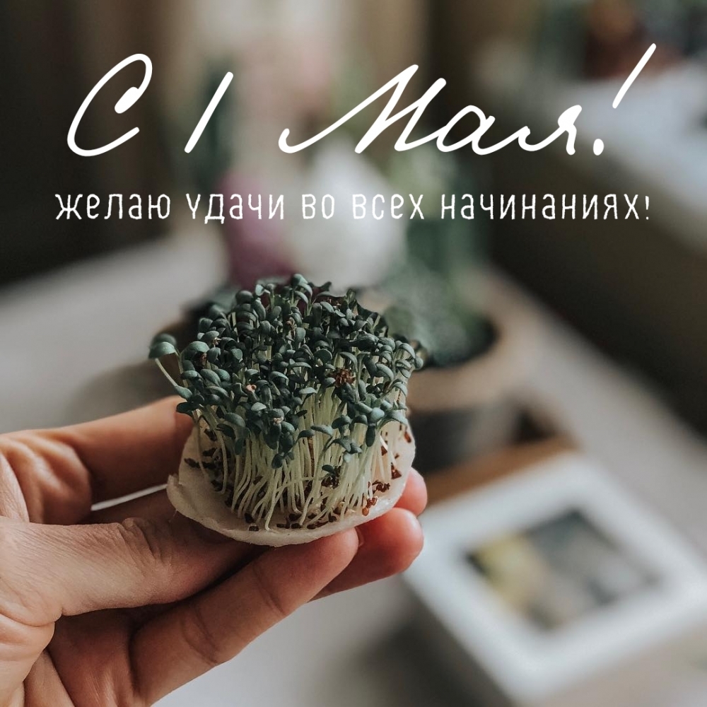 � 1 ���! ����� ����� �� ���� ����������!