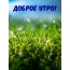Доброе утро!
